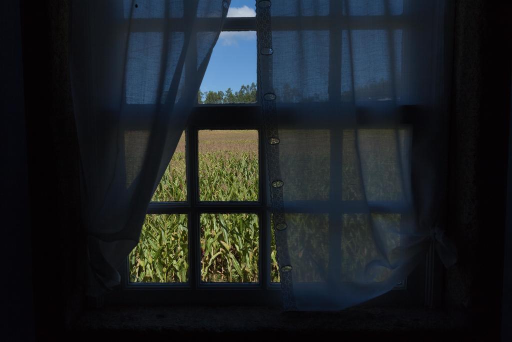 Appartamento Casa De Assade Grimancelos Esterno foto